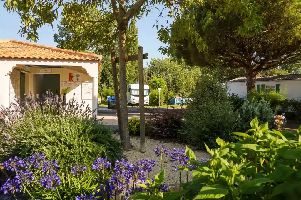 Camping L'Albizia vous accueille en van pour vos vacances en Vendée.